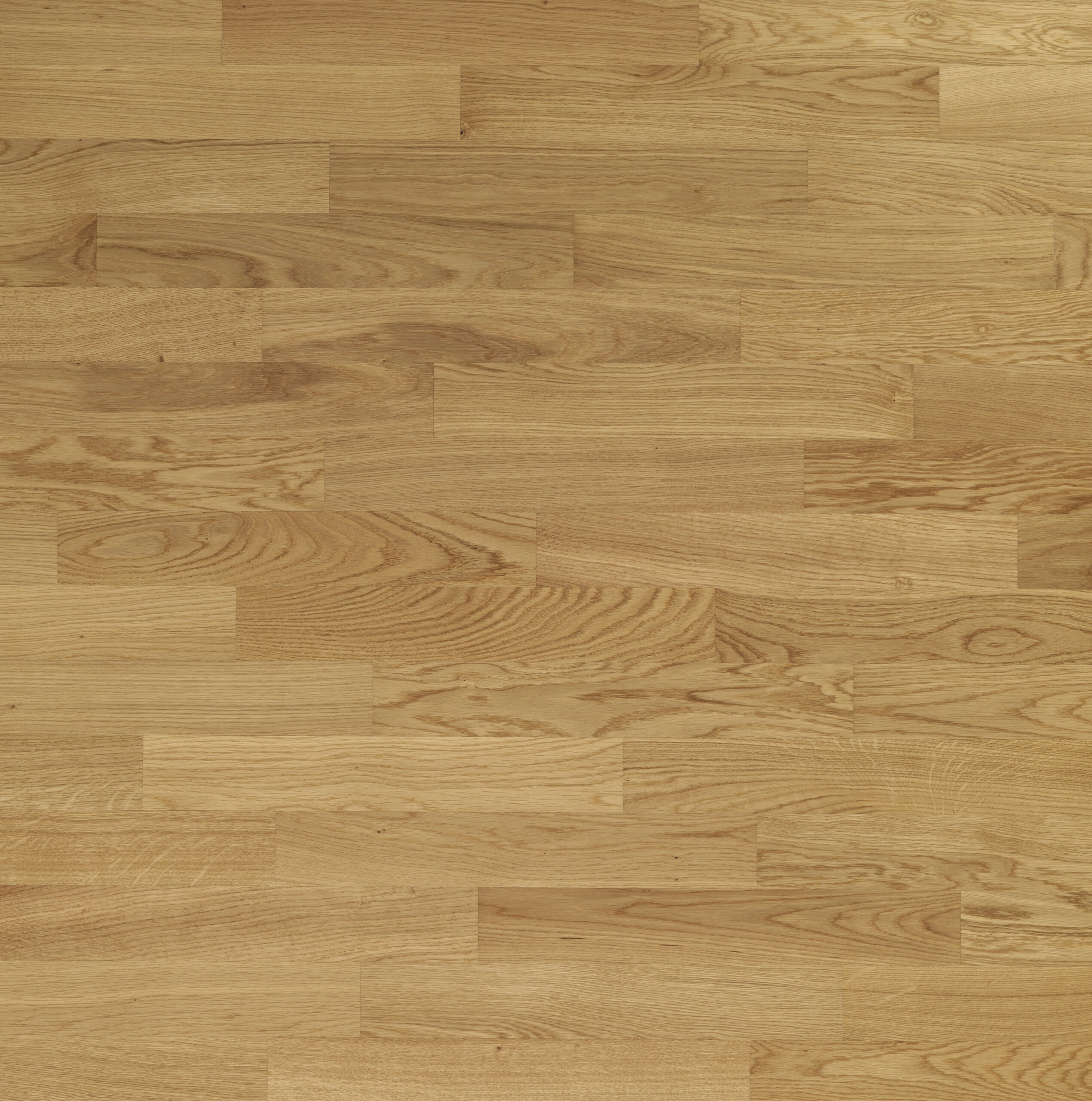 PreMass | Rovere Europeo Spigolo Vivo Finitura Assente Vernice semi-lucida - immagine 2